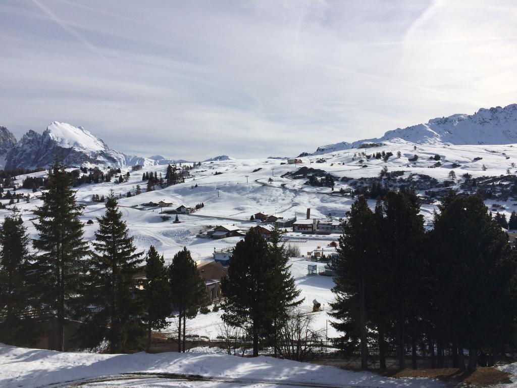 Appartamento Alpe di Siusi