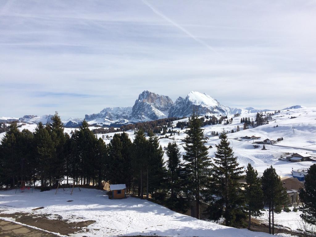Appartamento Alpe di Siusi Appartamento