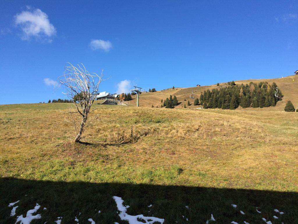 Appartamento Alpe Di Siusi Apartment Alpe Di Siusi