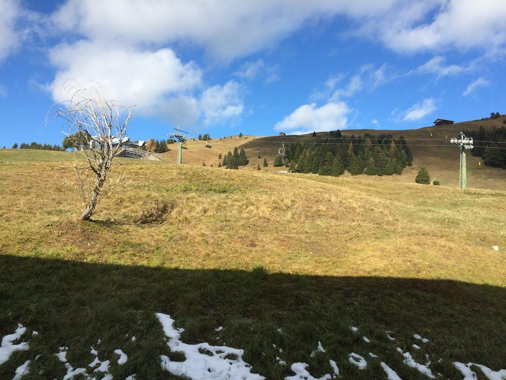 Appartamento Alpe Di Siusi Apartment Alpe Di Siusi