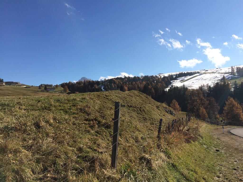 Appartamento Alpe di Siusi *