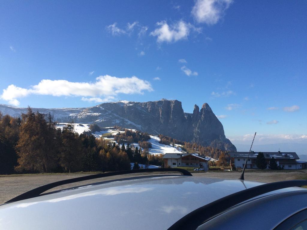 Appartamento Alpe Di Siusi *