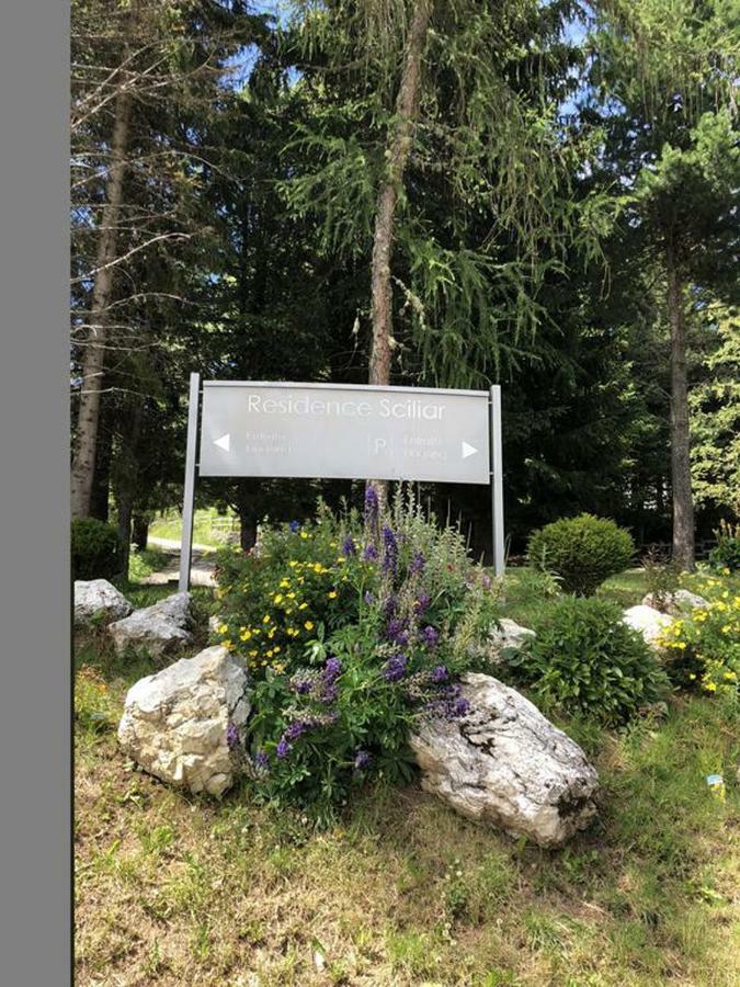 Appartamento Appartamento Alpe di Siusi *